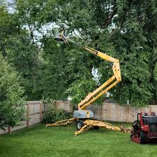 Baxter, TN Tree Removal Services Company